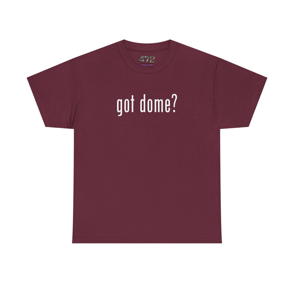 Got Dome tee